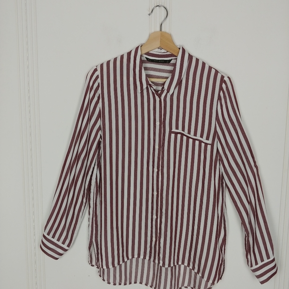 Zara Basic Collection - Picture 8 of 8